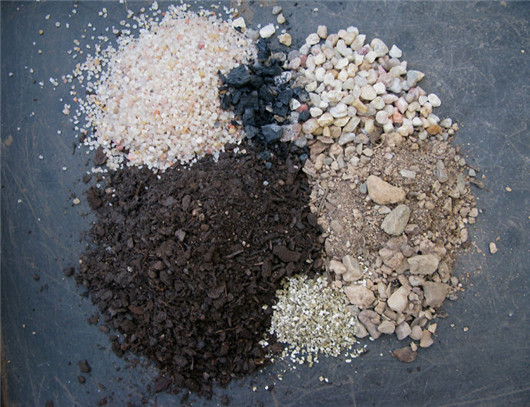 全营养土种的花容易死,养花的营养土可以直接种花吗