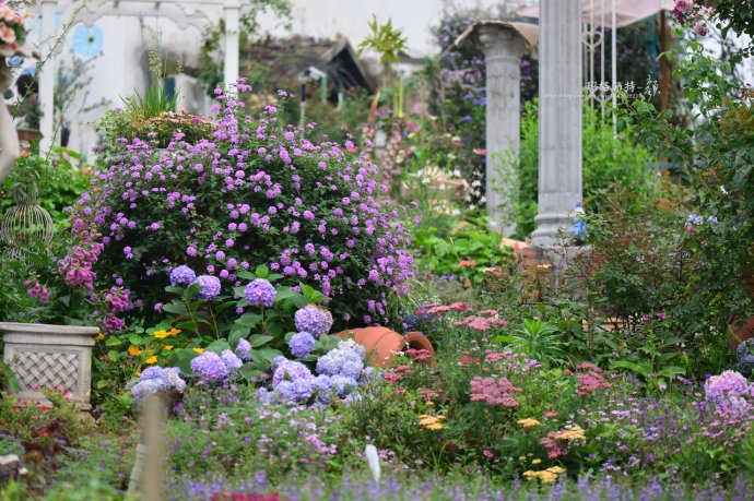 花园拜访,成都玛莉亚色彩花园电话
