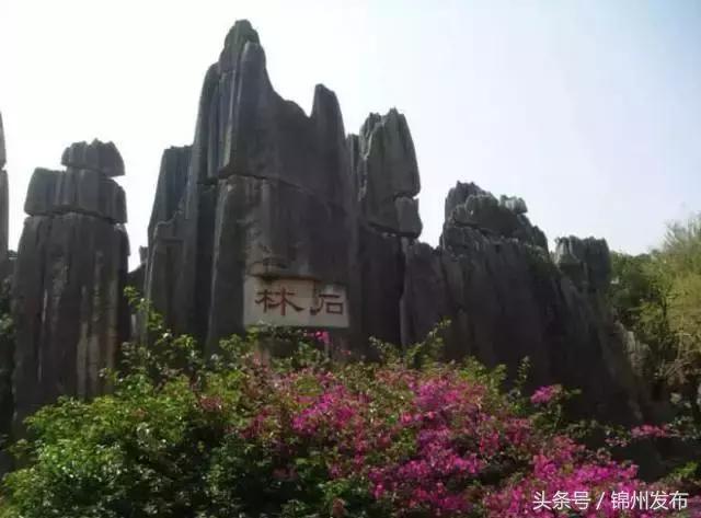 机票白菜价140元起全国各地出发,5月从沈阳出发的特价机票