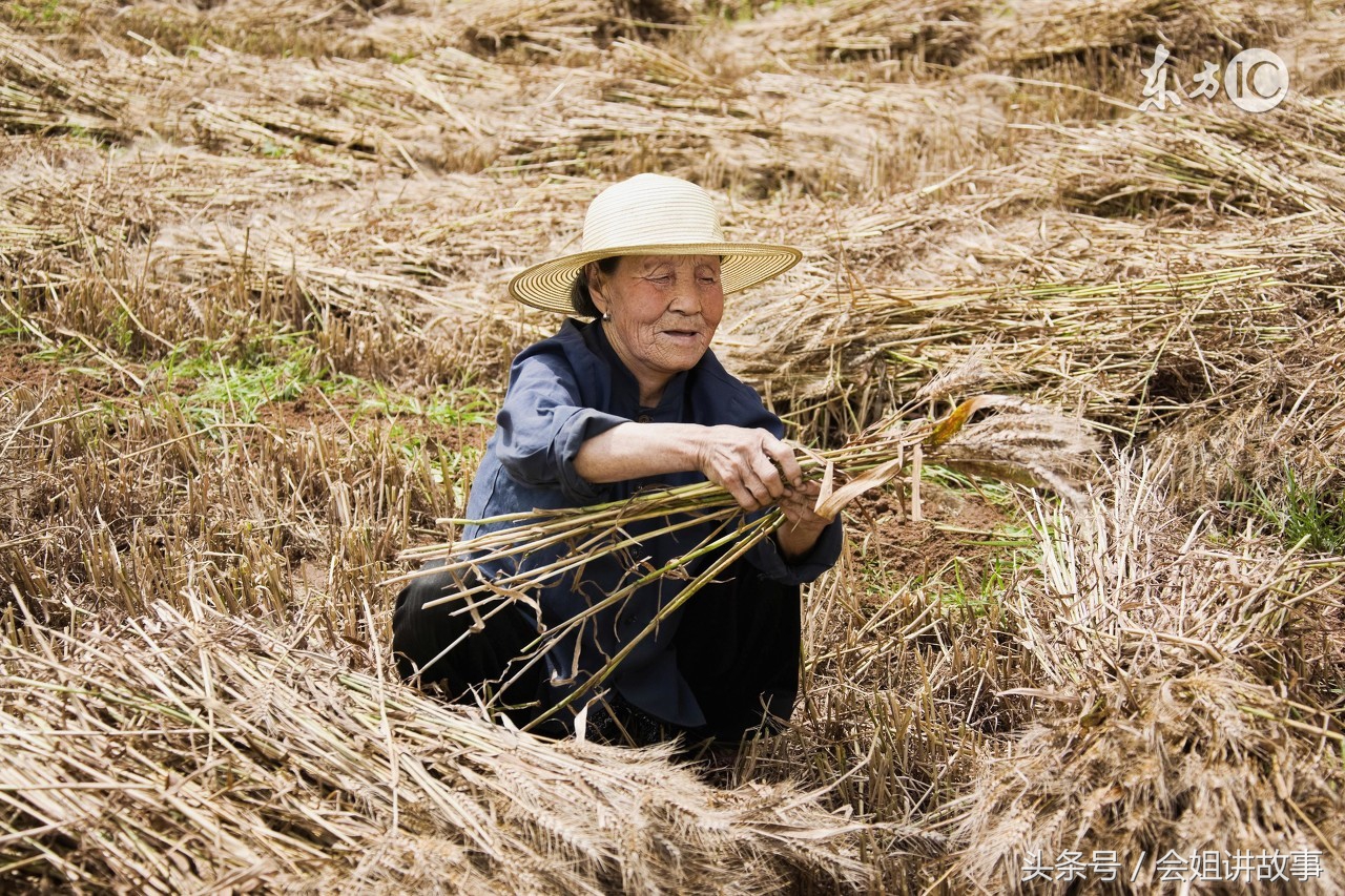 青春期孩子不听话的故事,关于青春期叛逆小故事