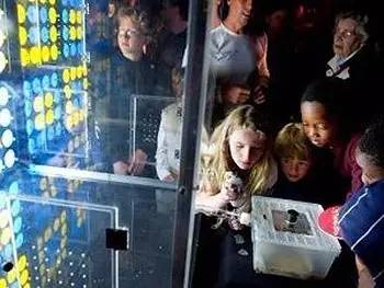 8岁熊孩子,8岁的熊孩子