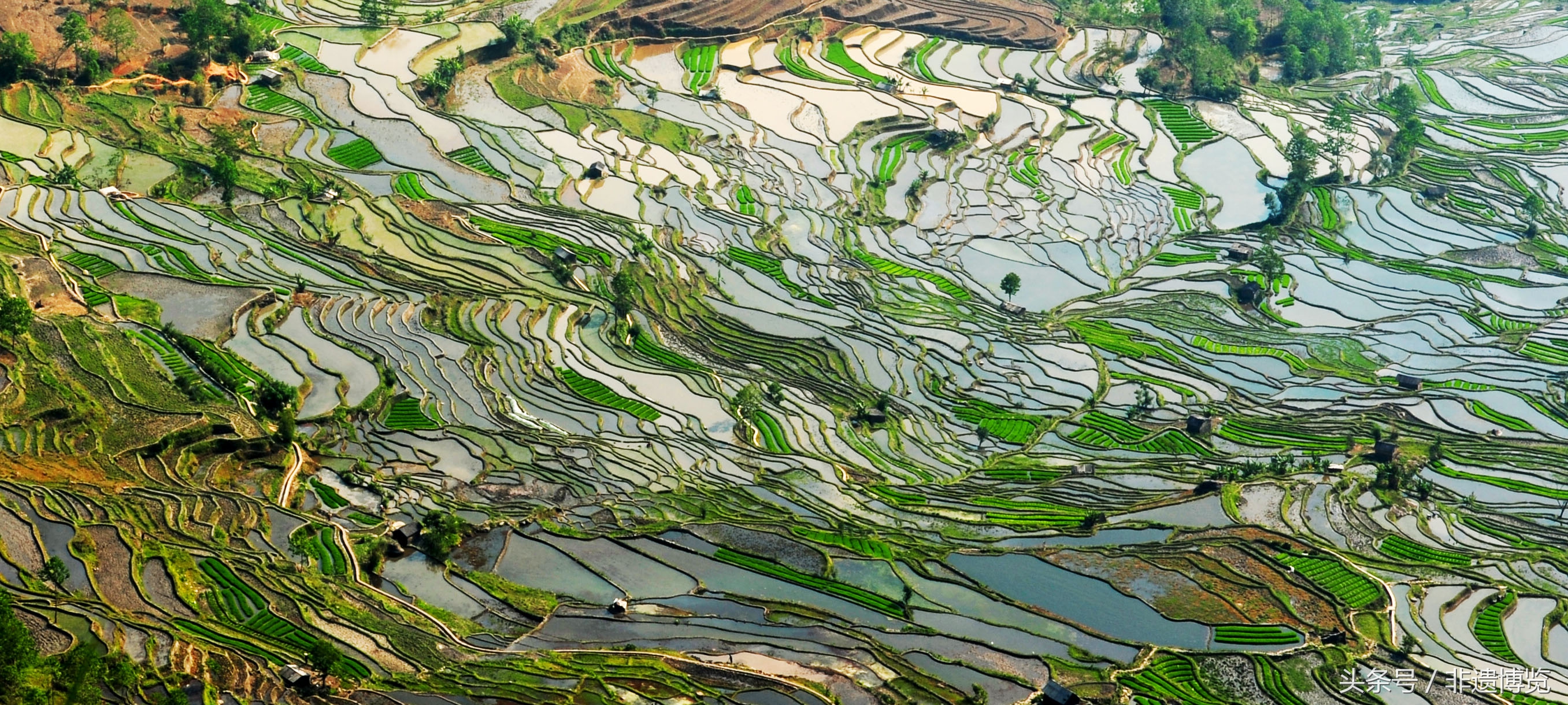 中国人雕刻,大地雕刻元阳梯田