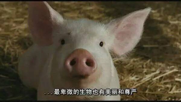 比起只用30块唇膏直播的伊能静,化妆我只服包文婧!