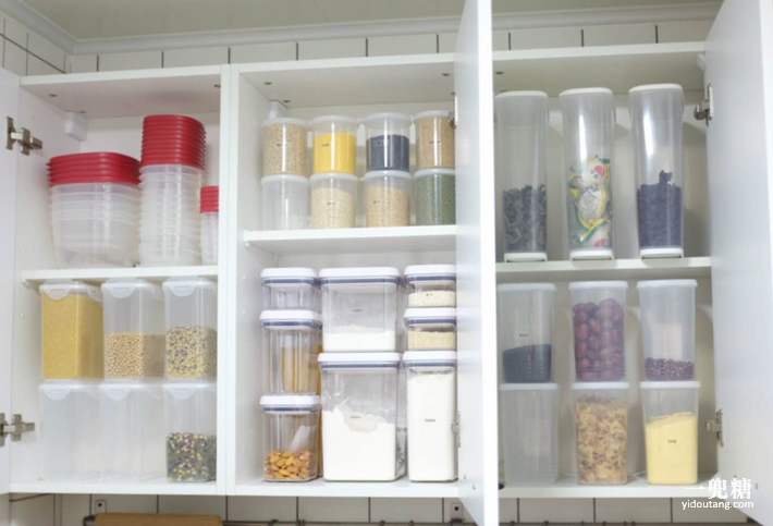 我和大熊去散步,我和大熊搭档完整视频