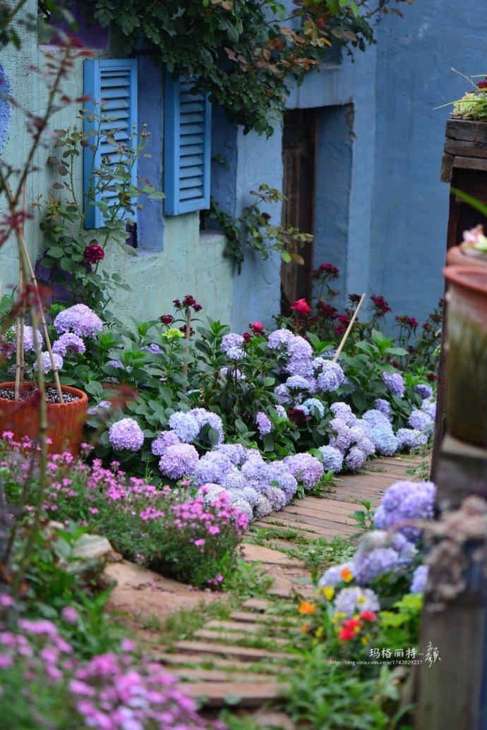 成都玛莉亚色彩花园,成都玛莉亚色彩花园电话