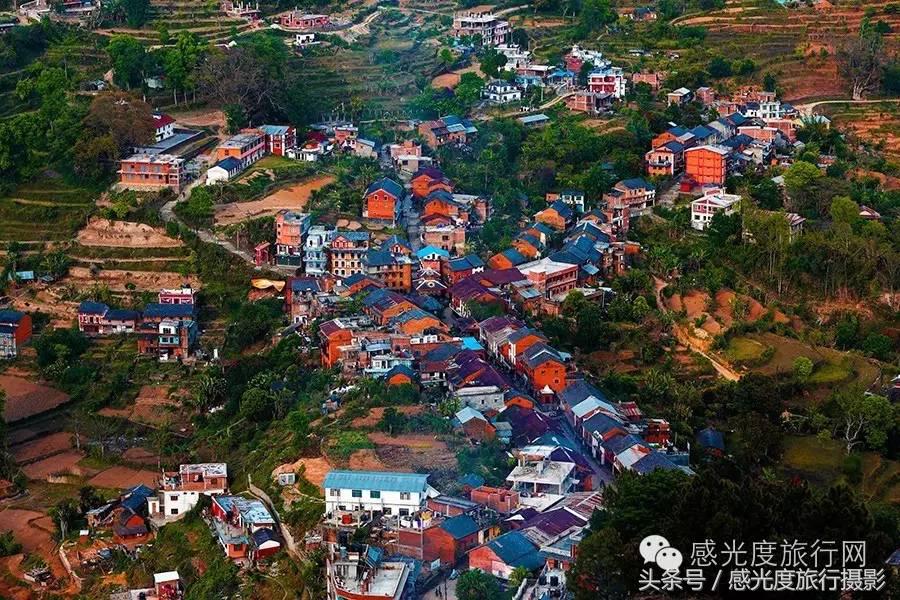 尼泊尔国歌唯一百花盛开的国度,尼泊尔百花图片