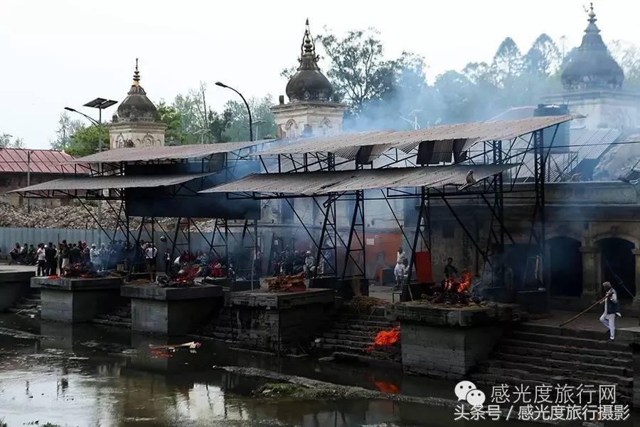 尼泊尔国歌唯一百花盛开的国度,尼泊尔百花图片
