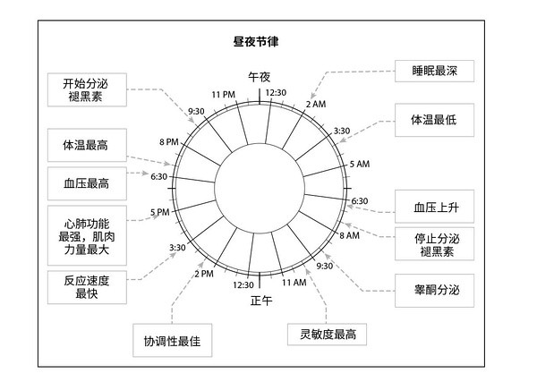 c罗睡眠,c罗的多阶段睡眠法