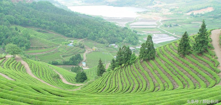 乱弹中川(散文)