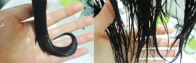 网传神奇生物,网传神奇测试图