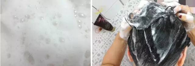 网传神奇生物,网传神奇测试图