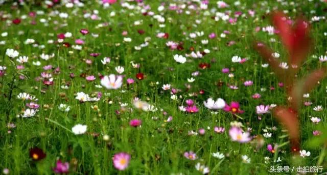 滁州有哪些地方可以下班去逛逛,滁州十大必去景点推荐