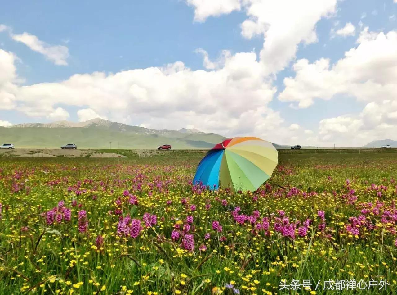 甘南年宝玉则景区,甘肃宝玉则旅游攻略