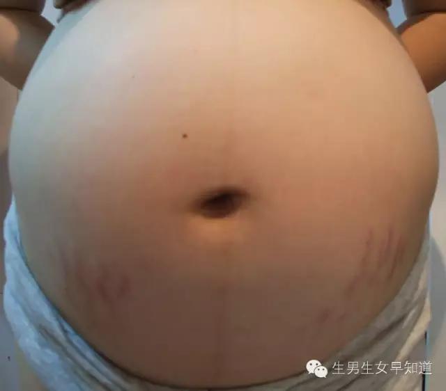 女人身上的那个洞可预测生男生女，男人你千万别乱动