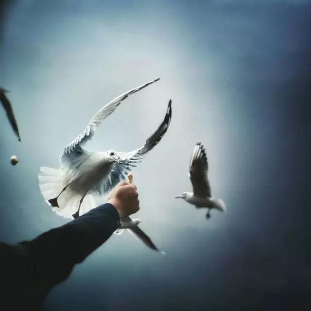 cmpa手机摄影欣赏,cmpa东莞坎普