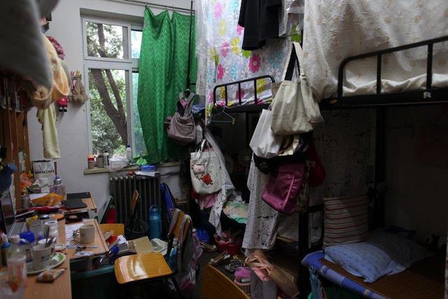 好物推荐百元以上,好物十元以下