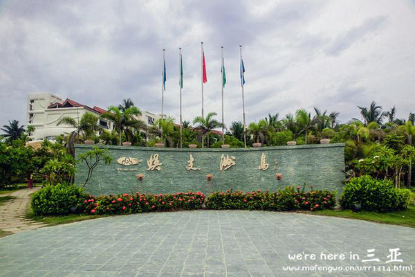 三亚五天四晚旅行团爱上海岛,三亚3天两晚够不够