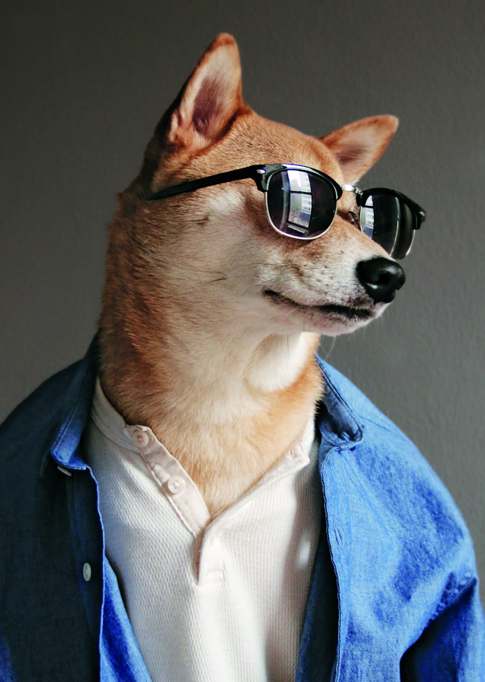 男春季穿搭技巧,春季男士穿搭禁欲奶狗风