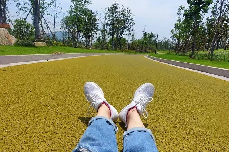 少女心美炸！大杭州竟然藏了条七彩跑道，柠檬黄、蒂芙尼蓝、墨色绿……现在去还能看到十里荷花……