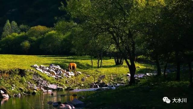 世界上最遥远的距离是生死离别,你知道这个世界上最遥远的距离吗