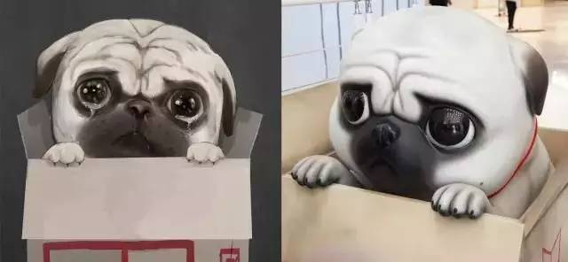 盘点十大网红萌宠,盘点全网6只网红萌宠