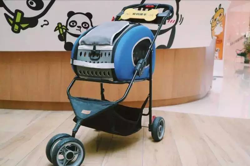 盘点十大网红萌宠,盘点全网6只网红萌宠