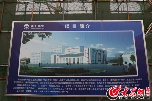 西王的结晶果糖,西王结晶果糖厂家