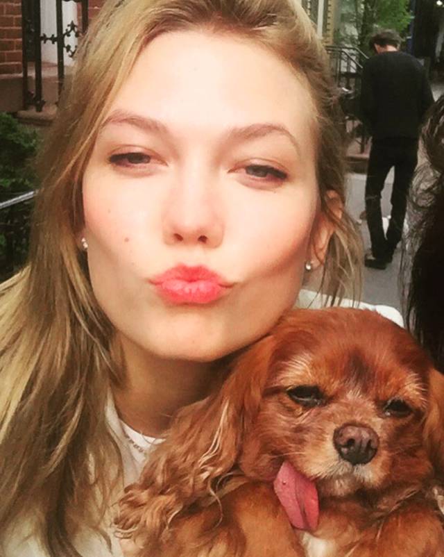 我没牙，我腿短，但我很红！