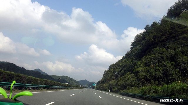 金毛萨克斯,金毛挑战全部视频