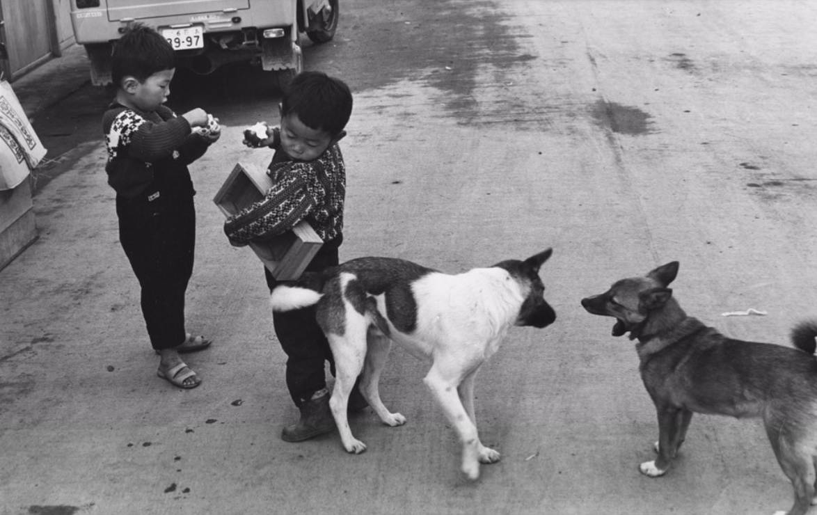 忧伤的孩子气的聂鲁达｜帕斯、马尔克斯回忆聂鲁达