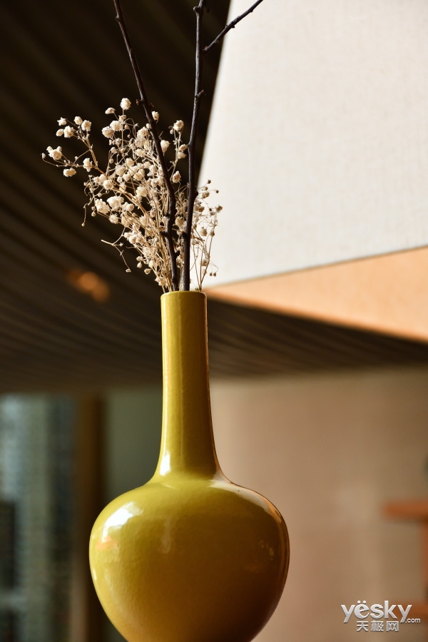 尼康d7500比d7100画质提升多少,尼康d7500和佳能90d哪个值得入手