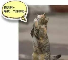 南宁人,2017已过去一半!别再freestyle啦~