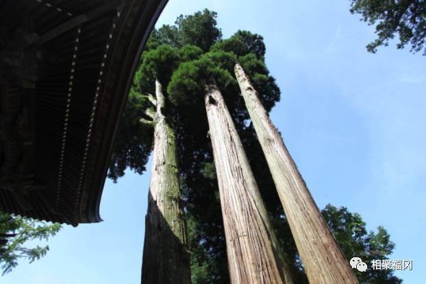 熊本美食大攻略,熊本城美食