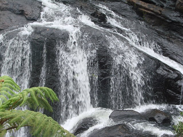 在斯里兰卡旅游必做的10件事,在斯里兰卡的难忘旅行经历