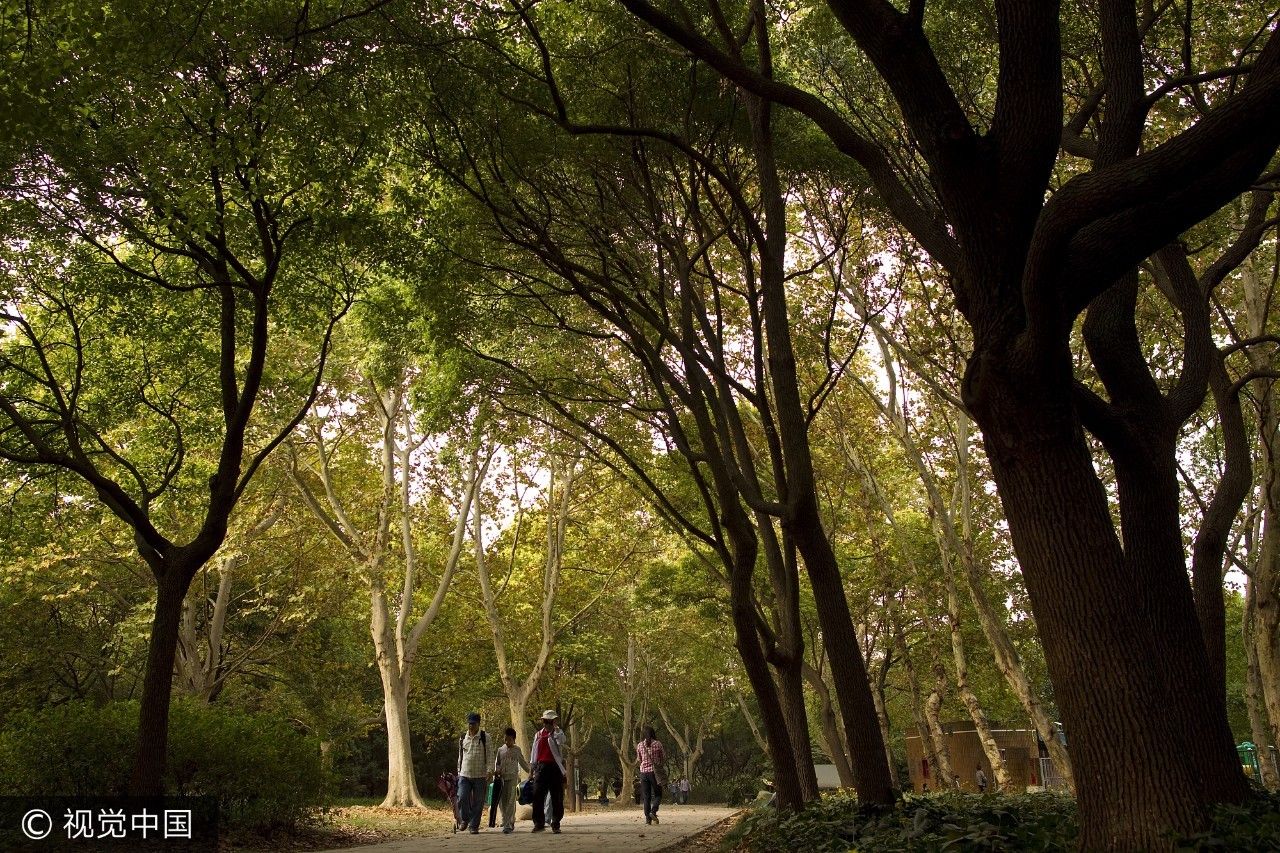 上海附近的免费凉快的地方,上海哪里可以免费乘凉