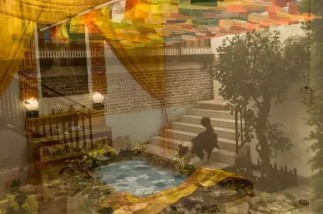 狗生如梦｜ONE实验室