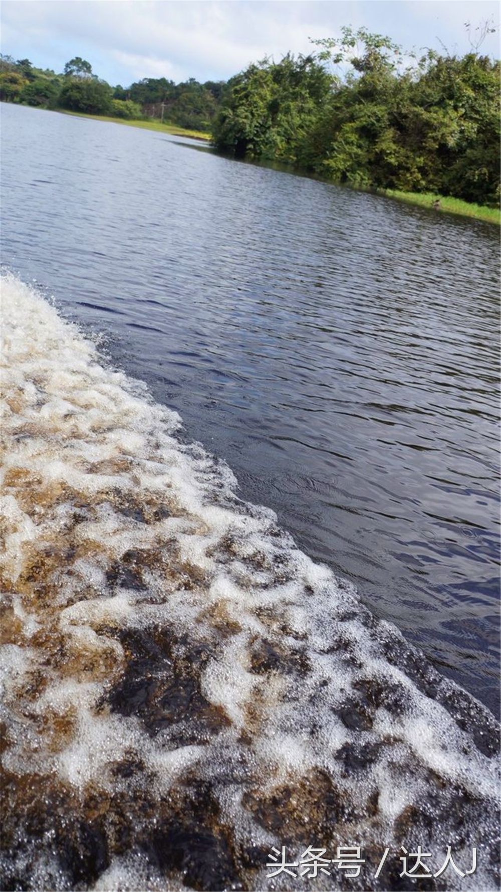 达人J：巴西的盛宴