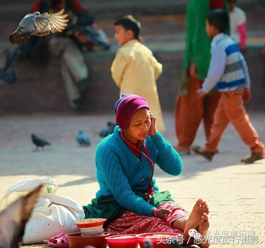 尼泊尔国歌唯一百花盛开的国度,尼泊尔百花图片
