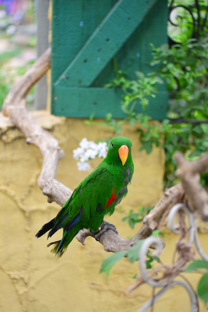 成都玛莉亚色彩花园,成都玛莉亚色彩花园电话