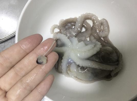 鲜活八爪鱼火锅,海鲜火锅配上八爪鱼