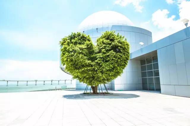 ins风！澳门竟然有个最适合情侣街拍的圣地，随手拍都是美翻了！