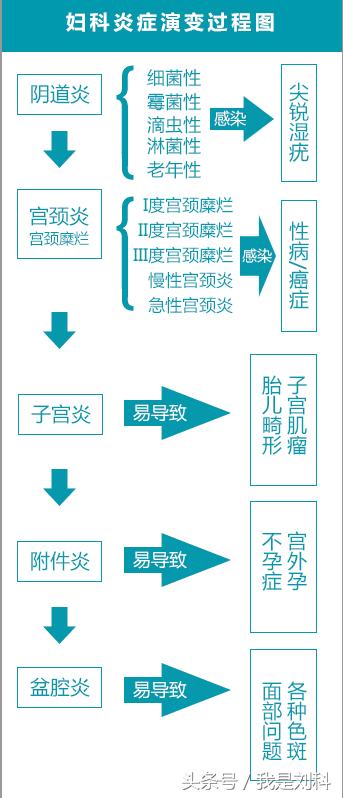 看图说话的过程,看图写话从整体到局部的观察方法
