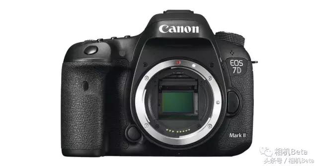 尼康d800和佳能7d3对比,尼康d300s和佳能7d高感