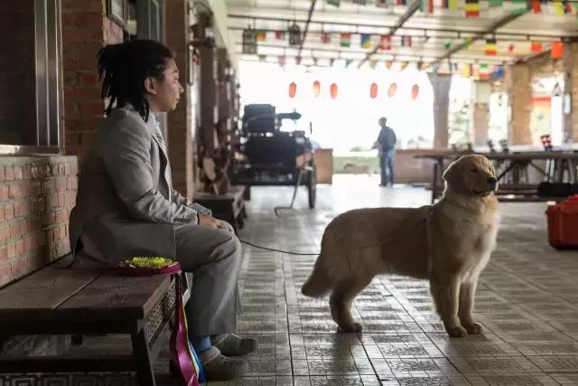 狗生如梦｜ONE实验室