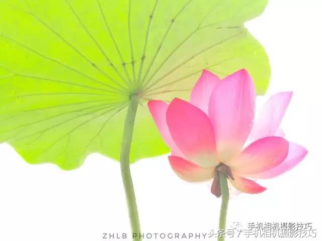 拍好照片的三个标准你值得一看,拍一张好照片容易吗