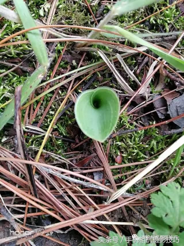 拍好照片的三个标准你值得一看,拍一张好照片容易吗