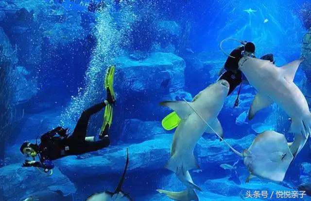 单飞露营,露营还可以做哪些活动