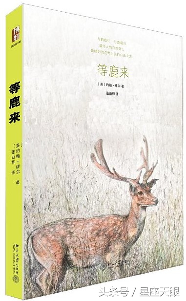 巨蟹座狮子座和处女座下周的运势,巨蟹座狮子座处女座一月运势