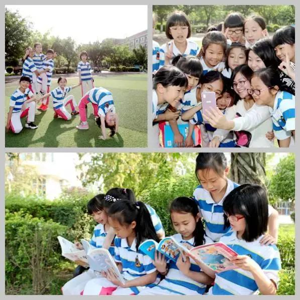 成都负氧离子高的地方,成都森林里最好的学校