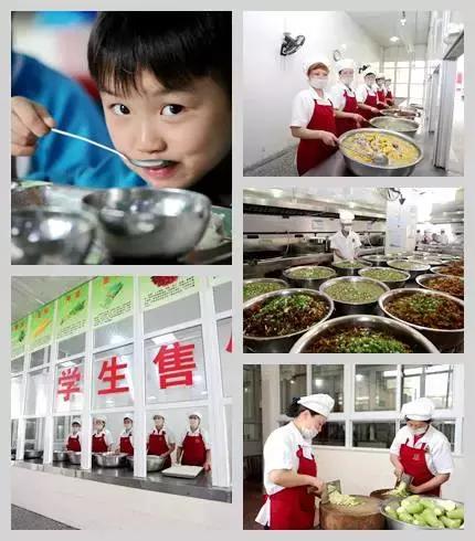 成都负氧离子高的地方,成都森林里最好的学校